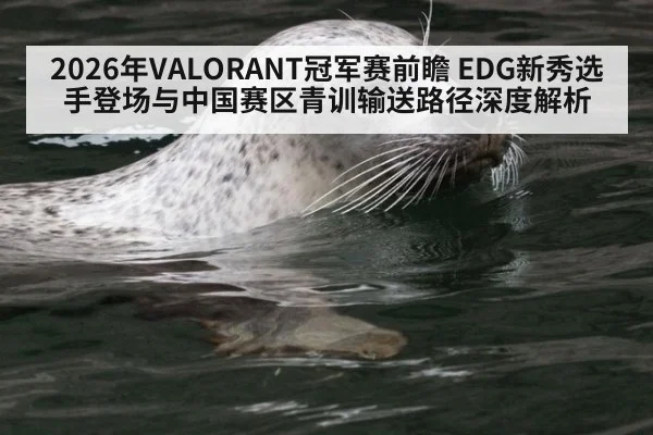 2026年VALORANT冠军赛前瞻 EDG新秀选手登场与中国赛区青训输送路径深度解析