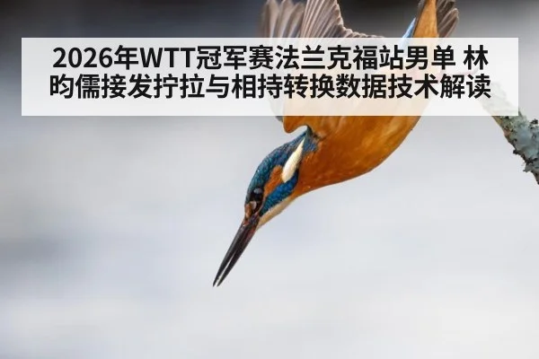 2026年WTT冠军赛法兰克福站男单 林昀儒接发拧拉与相持转换数据技术解读